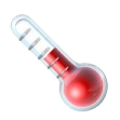 Thermometer Icon