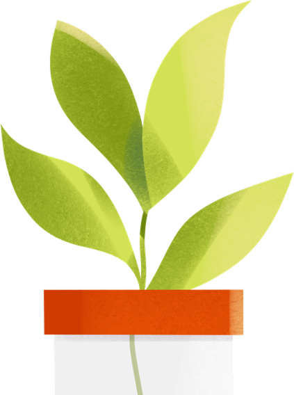 Flask with Plant