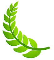 Olive Decoration