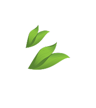 Decorative Leaves